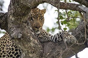 Simbavati River Lodge