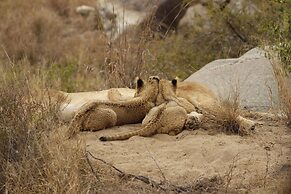 Simbavati River Lodge