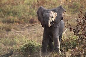 Simbavati River Lodge