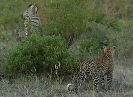 Simbavati River Lodge