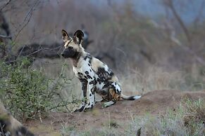 Simbavati River Lodge