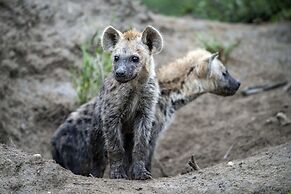 Simbavati River Lodge