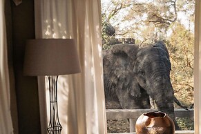 Simbavati River Lodge