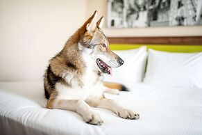 Hampton by Hilton Krakow