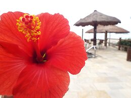 Pousada Pedra da Ilha