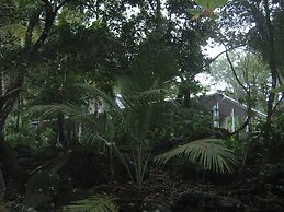 Citrus Creek Plantation