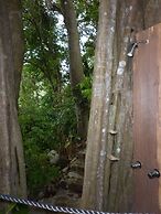 Citrus Creek Plantation