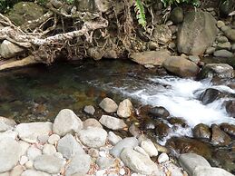 Citrus Creek Plantation
