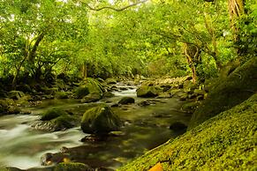 Citrus Creek Plantation