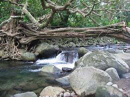 Citrus Creek Plantation