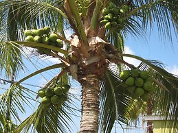 Alablanca Apartments, Residents Inn