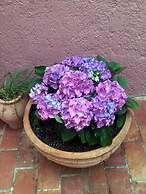 Porto Maltese Boutique Estate