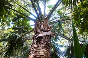 Pousada Águas Claras