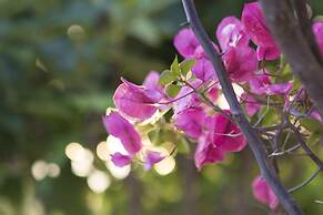 Hotel & Restaurant Cortijo del Arte