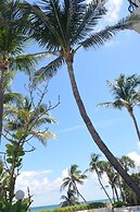 New Point Miami Beach Apartments