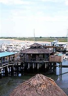 The Conch House Marina Resort