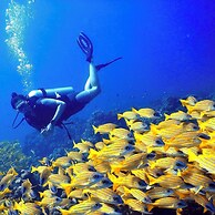 The Barefoot Eco Hotel