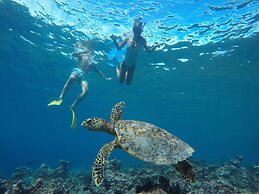 The Barefoot Eco Hotel