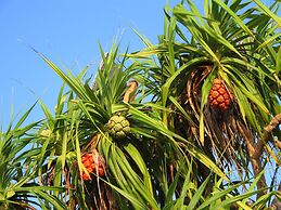 The Barefoot Eco Hotel