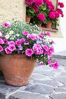 Pension der Steinbock - Das Bauernhaus