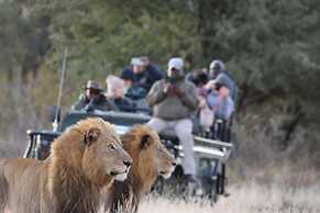 Simbavati Hilltop Lodge