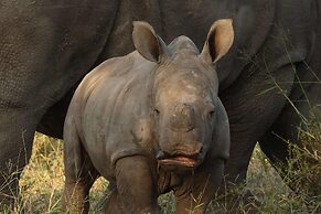 Simbavati Hilltop Lodge