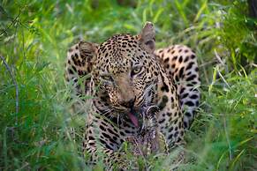 Simbavati Hilltop Lodge