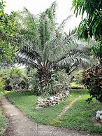 La Colline Enchantée