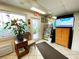 Nautical Watch by Liberté