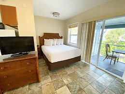 Nautical Watch by Liberté