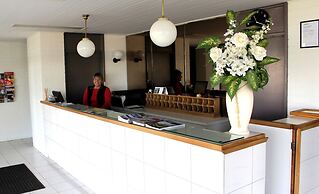 Sandpipers at Millicent