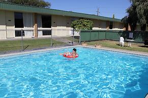 Sandpipers at Millicent