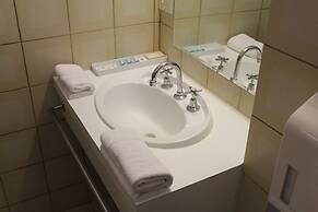 Sandpipers at Millicent