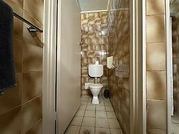 Sandpipers at Millicent