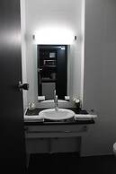 Sandpipers at Millicent