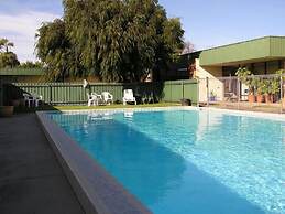 Sandpipers at Millicent