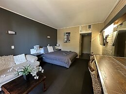 Sandpipers at Millicent