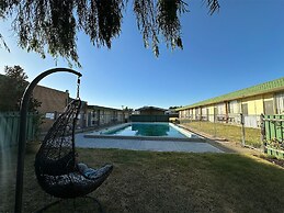 Sandpipers at Millicent