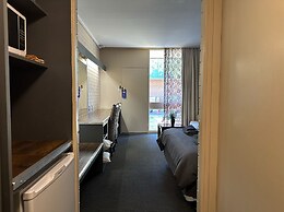 Sandpipers at Millicent