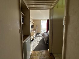 Sandpipers at Millicent