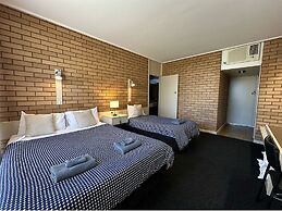 Sandpipers at Millicent