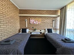 Sandpipers at Millicent