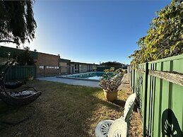 Sandpipers at Millicent