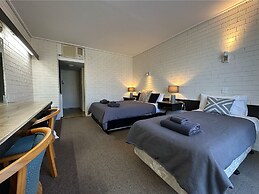 Sandpipers at Millicent