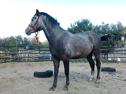 Agri-costella Country Hotel