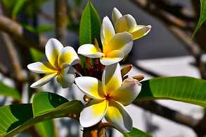 Nitsas Hotel Apartments