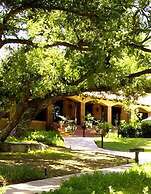 Vineyard Hacienda