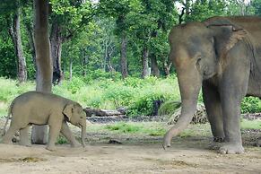 Baghmara Wildlife Resort