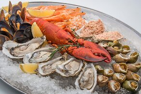 NEMO Hotel Resort & SPA