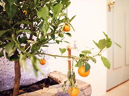 Hotel Not Hotel Amsterdam